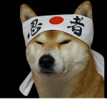 The Mega Ninja Doge’s Games