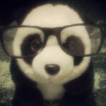 .Panda Doll.