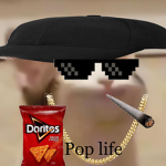 want some pop cat