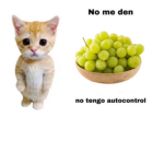 UJAJAJA