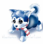 The Husky Club