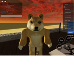 Doge group…