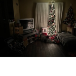 Crazy Christmas tree