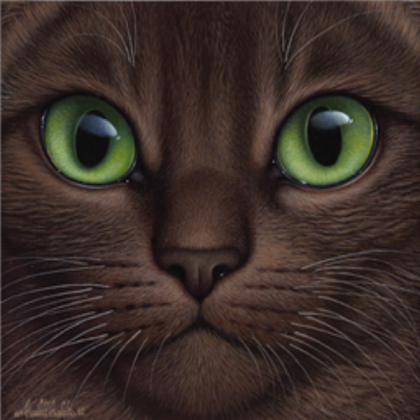 Warrior Cat ~~ Roblox decal