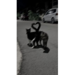 d͎͍͐￫e͎͍͐￫v͎͍͐￫i͎͍͐￫l͎͍͐￫i͎͍͐￫s͎͍͐￫h͎͍͐￫