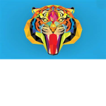 Rainbow Tiger Studios