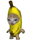 kasztanki