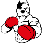 Champ's Boxing Association