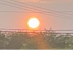 The middle of June