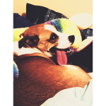 Dog_Love