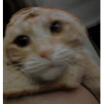 m.mxrss