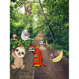 sloths unight