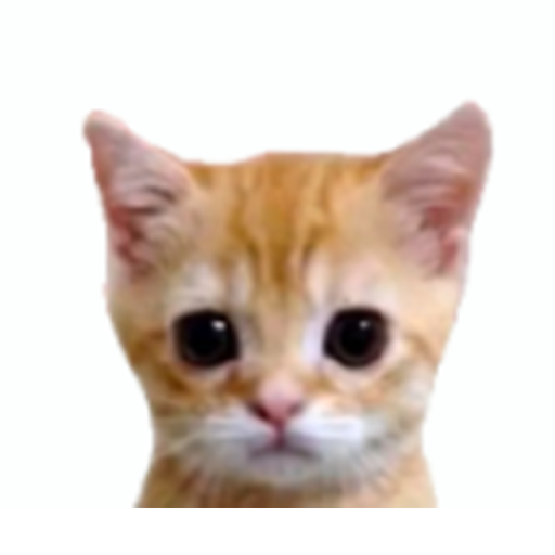 ไม่รู้ๆไม่เปิดๆ