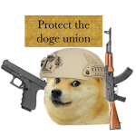 doge squad (WE PROTECT
