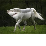 Almighty Shark Horse