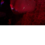 Robuxkathss-.