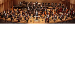 Orchestra Room