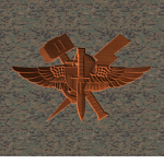 2nd ANGLICO