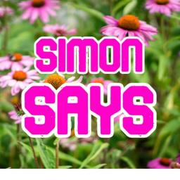 SS - Simon Says