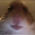12giverobuxlittleidk34