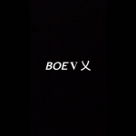 BOE ( Brothers Over Everything)