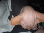 lubie placuszki buq