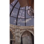 على الفاضي