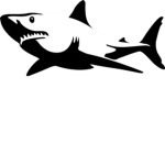 Shark CIan