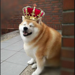 DOGE KINGDOM