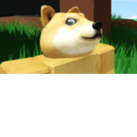 DGDoge45