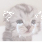 RICH KITTY'