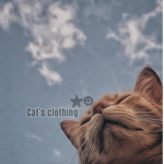 •Cat’s clothing•