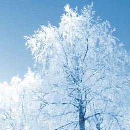 ❄️
