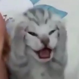VERY VERY HARD OBBY😱😱😱😱😵‍💫😵‍💫🥴🥴😵😵😵