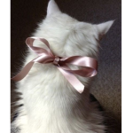 Candlysticx