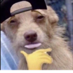 The Real Tokyo Manji Gang