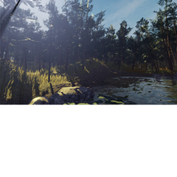[New!] Forest Racing Simulator ⚡