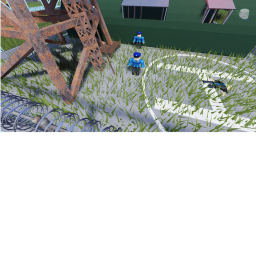 capture the flag