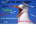 The Anti Seagull Abuse Squad!
