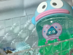 ~ねおのお部屋~