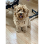 bailey channel fan group