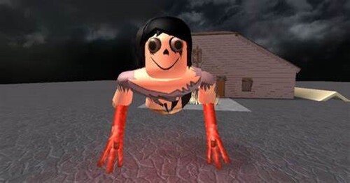 survive momo and jeff