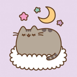 •_cat chat_•