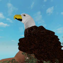 Escape the canyon! (obby)