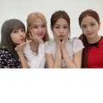 ~Fan of BLACKPINK~