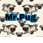 Mr.Pug