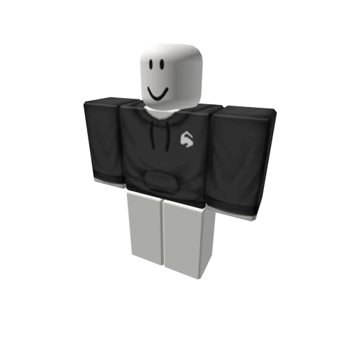 Synthaly Hoodie product image (1)