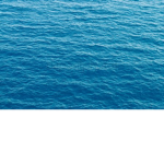 The Watery Group