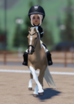 Flyhigh riding school