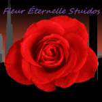 Fleur Éternelle Stuidos